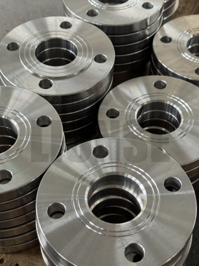 Flange de teste hidráulico DN50 SS304